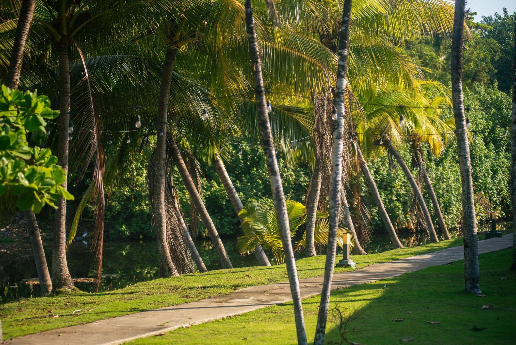 Beach Break Resort & Cr Surf Camp Jaco Exterior photo