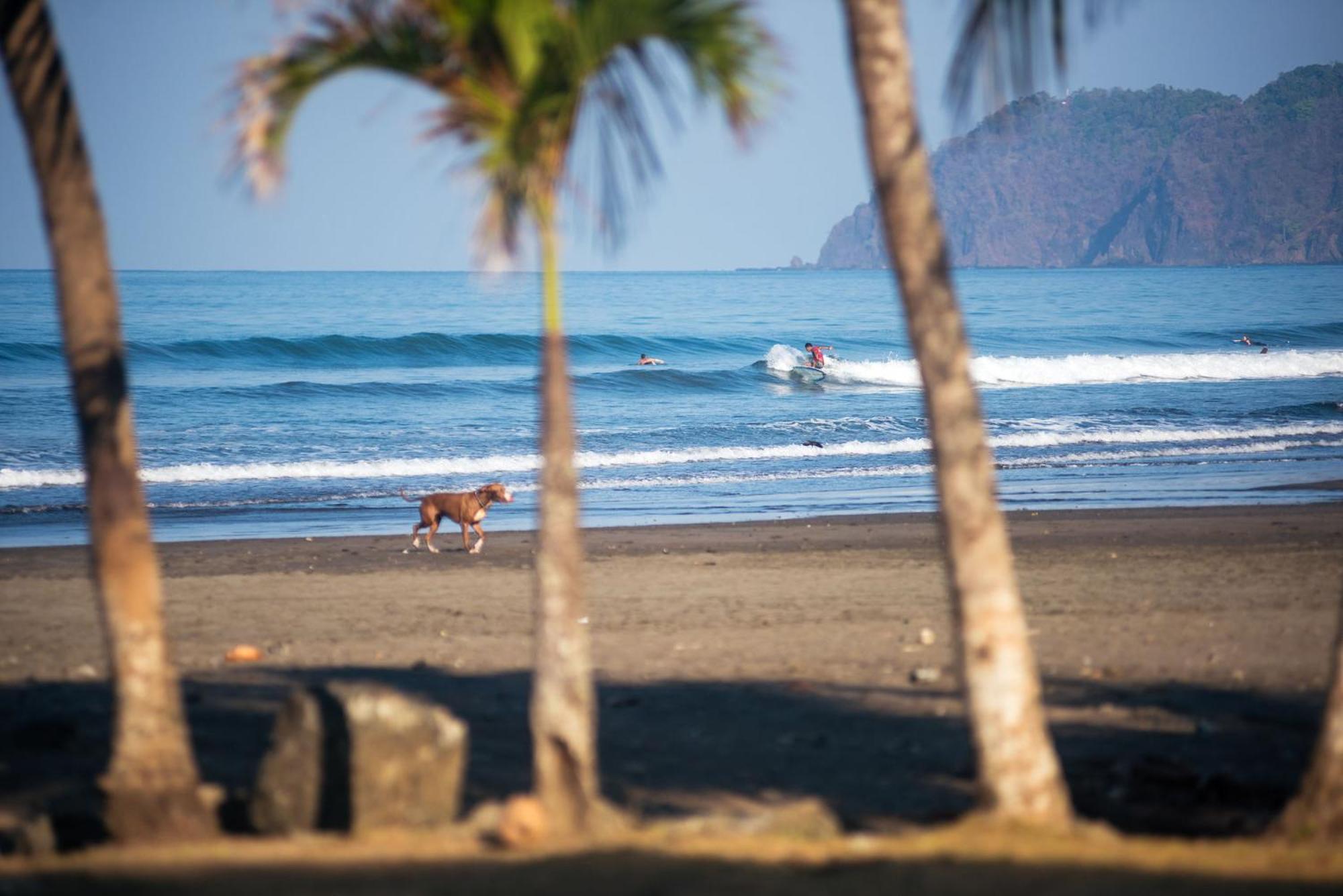 Beach Break Resort & Cr Surf Camp Jaco Exterior photo